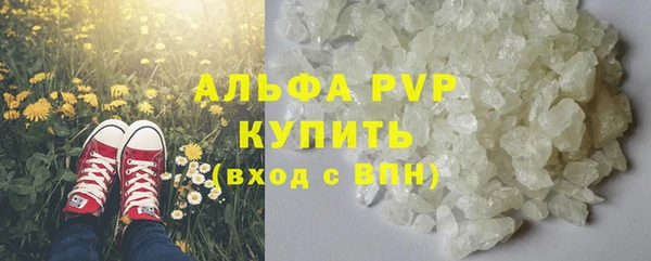 стаф Каменка