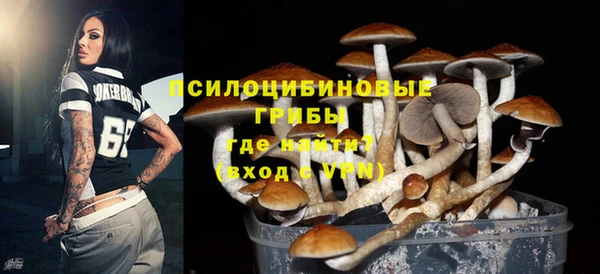 ALPHA-PVP Инсар